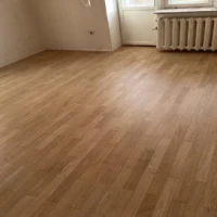 Шліфування паркету - 0